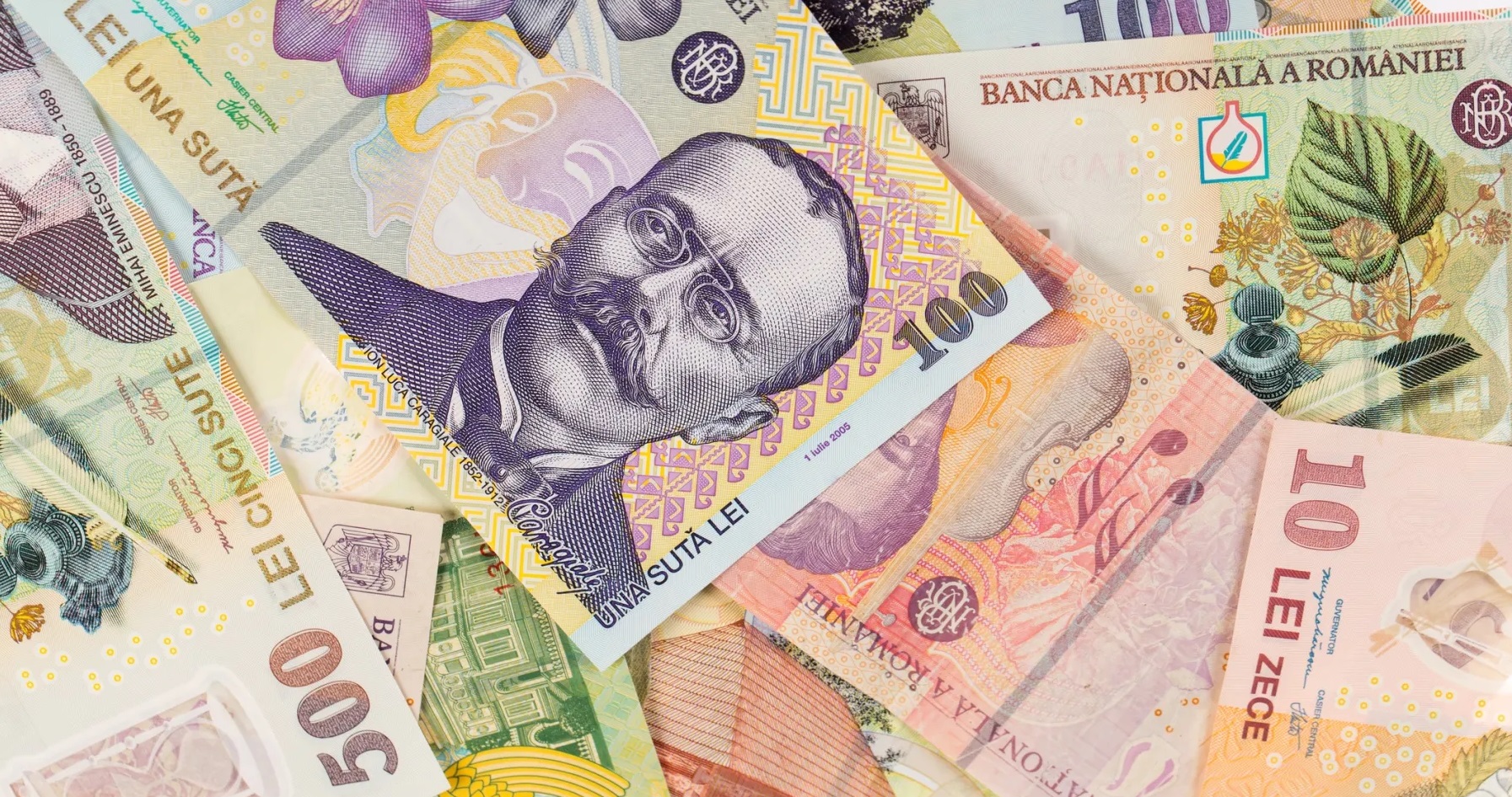 Opțiuni de finanțare Rewaco